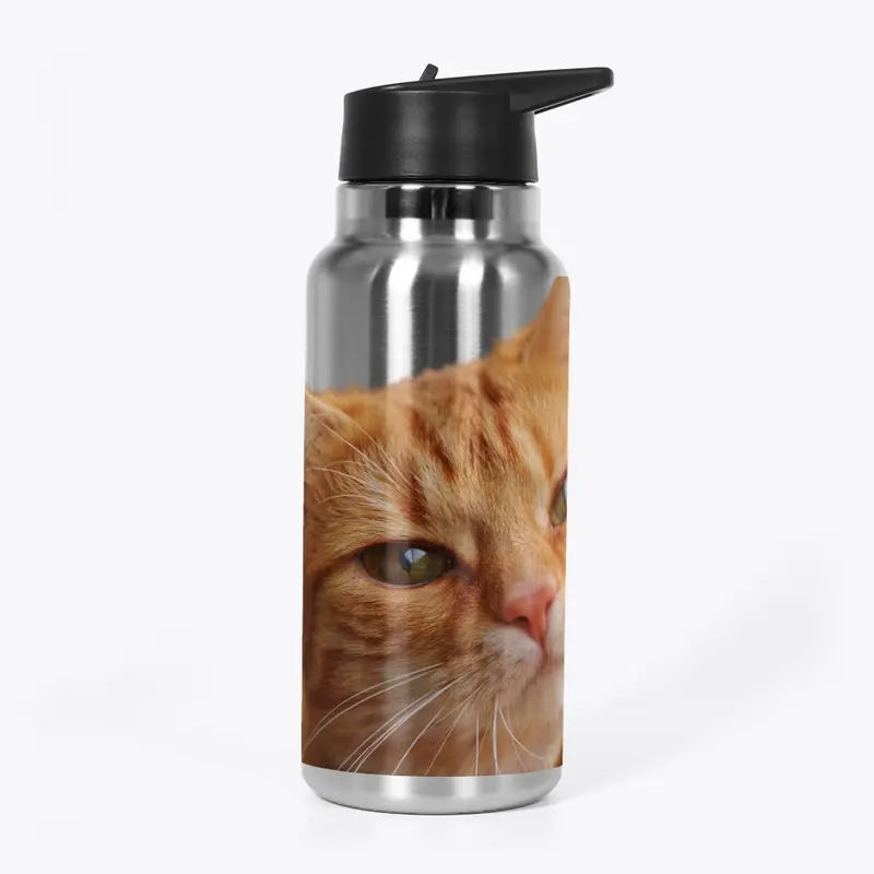 Cute cat products