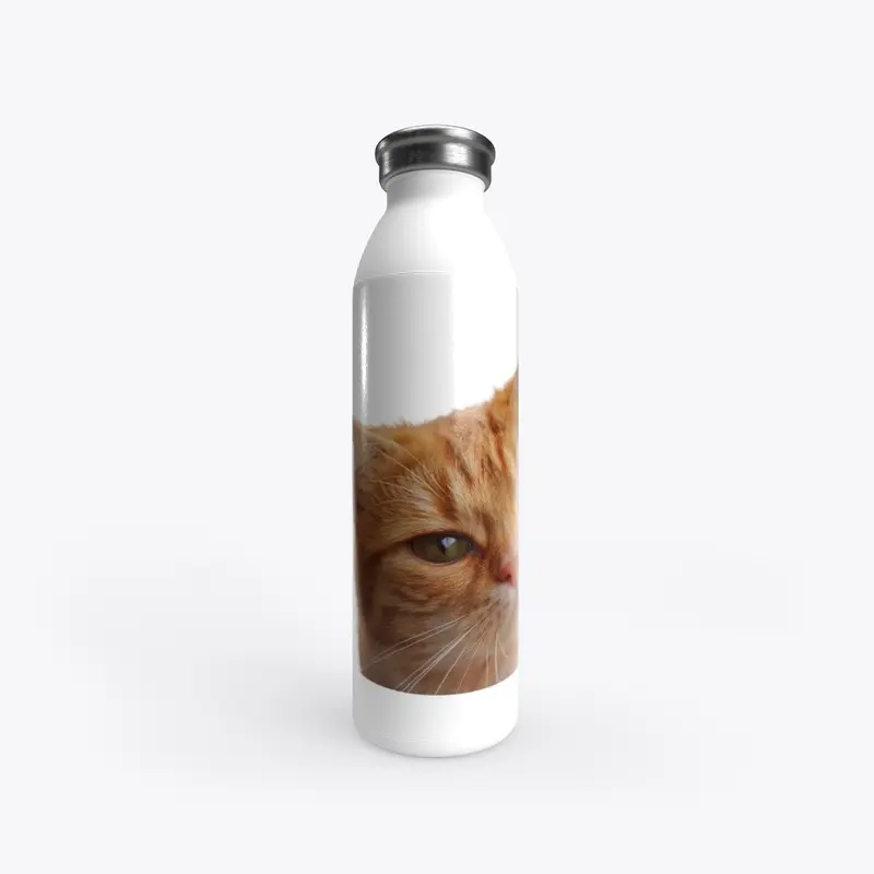 Cute cat products