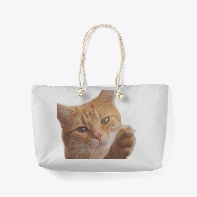 Cute cat products