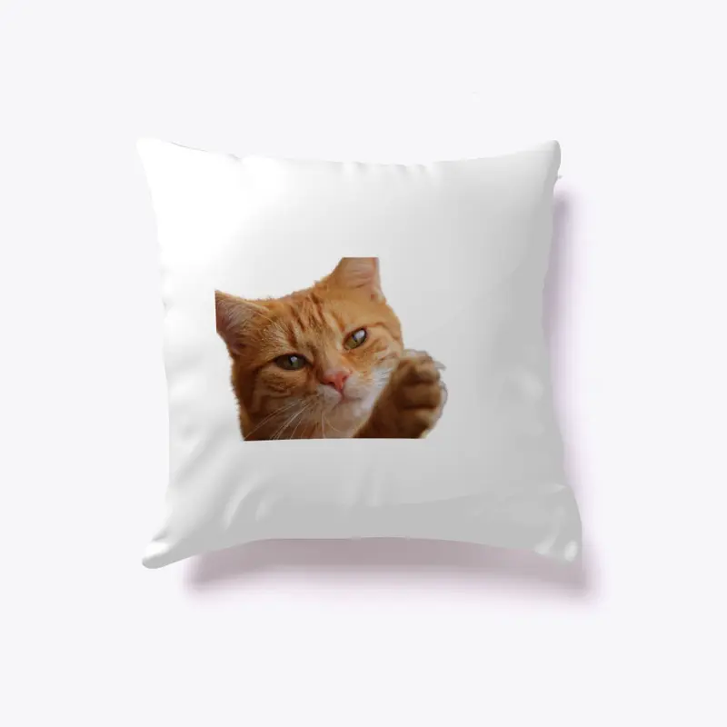 Cute cat products