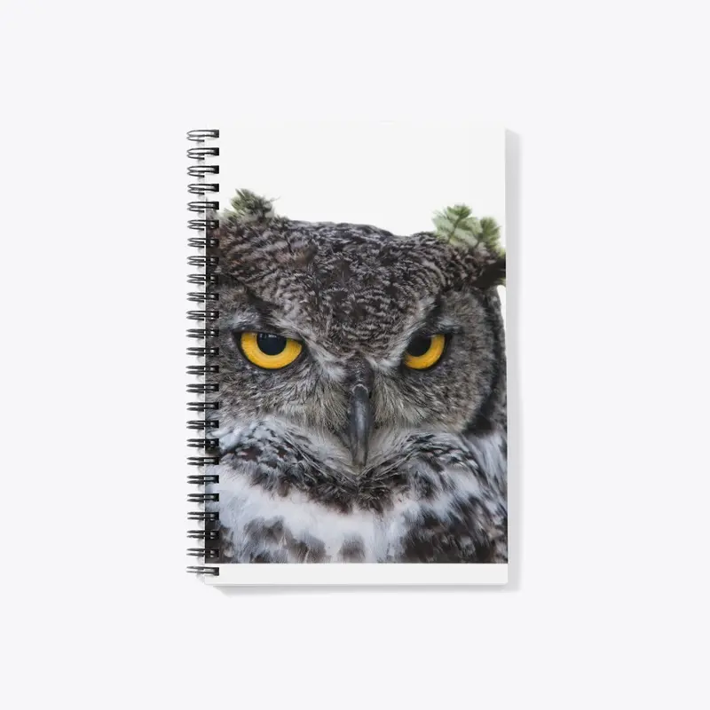 Owl prd 